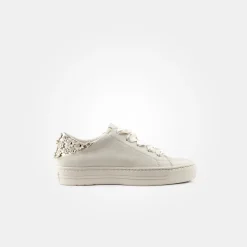 Damen Paul Green Sneaker*Art.5260-013