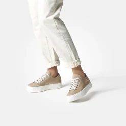 Damen Paul Green Sneaker*Art.4790-241